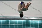 Swimming & Diving vs RWU  Swimming & Diving vs Roger Williams University. - Photo by Keith Nordstrom : Wheaton, Swimming
